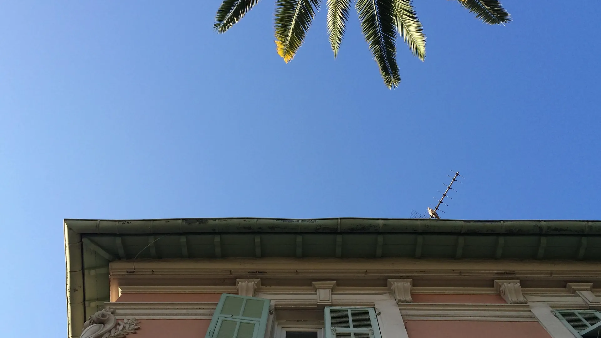 Hotel Villa Rose Nizza